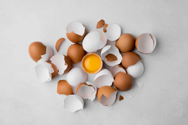 Reaproveitar cascas de ovo - Foto by Freepik