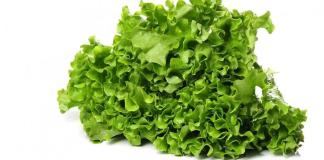 Como cultivar alface o ano todo: 8 truques de jardinagem para colheitas constantes Designed by Freepik: Como cultivar alface o ano todo: 8 truques de jardinagem para colheitas constantes