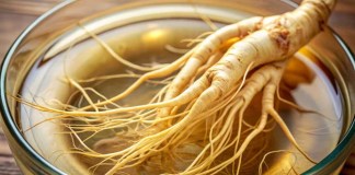 Descubra como o ginseng pode melhorar a sua memória e desempenho mental ginseng
