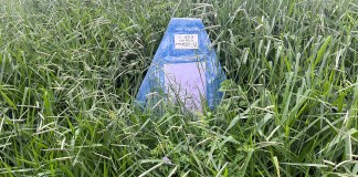 Totem do Caminho da Fé está abandonado em São Carlos