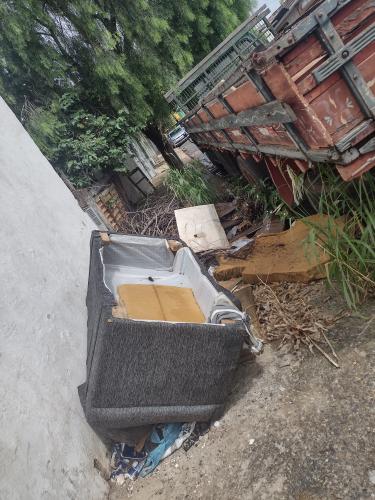 Moradora diz que sua casas está sendo invadida por escorpíões amarelos e ratos