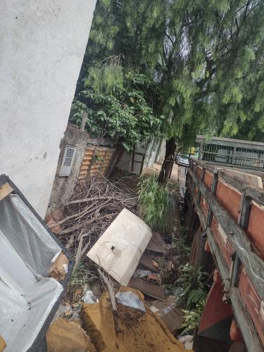 Moradora diz que sua casas está sendo invadida por escorpíões amarelos e ratos