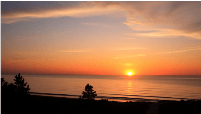 Captura de tela 2025-01-17 174442