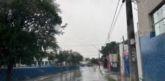 43,8 mm de chuva foram registrados em São Carlos neste início de 2025