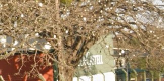 Faber-Castell tem vagas de emprego em São Carlos