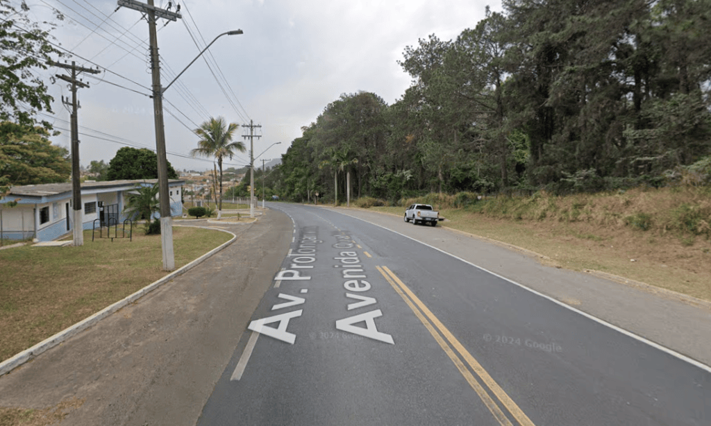 Cachorros atacando na entrada da cidade