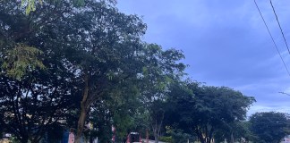 Domingo com previsão de 20 mm de chuva