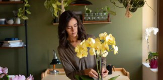 mulher cuidando de orquideas sobre a mesa em ambiente iluminado