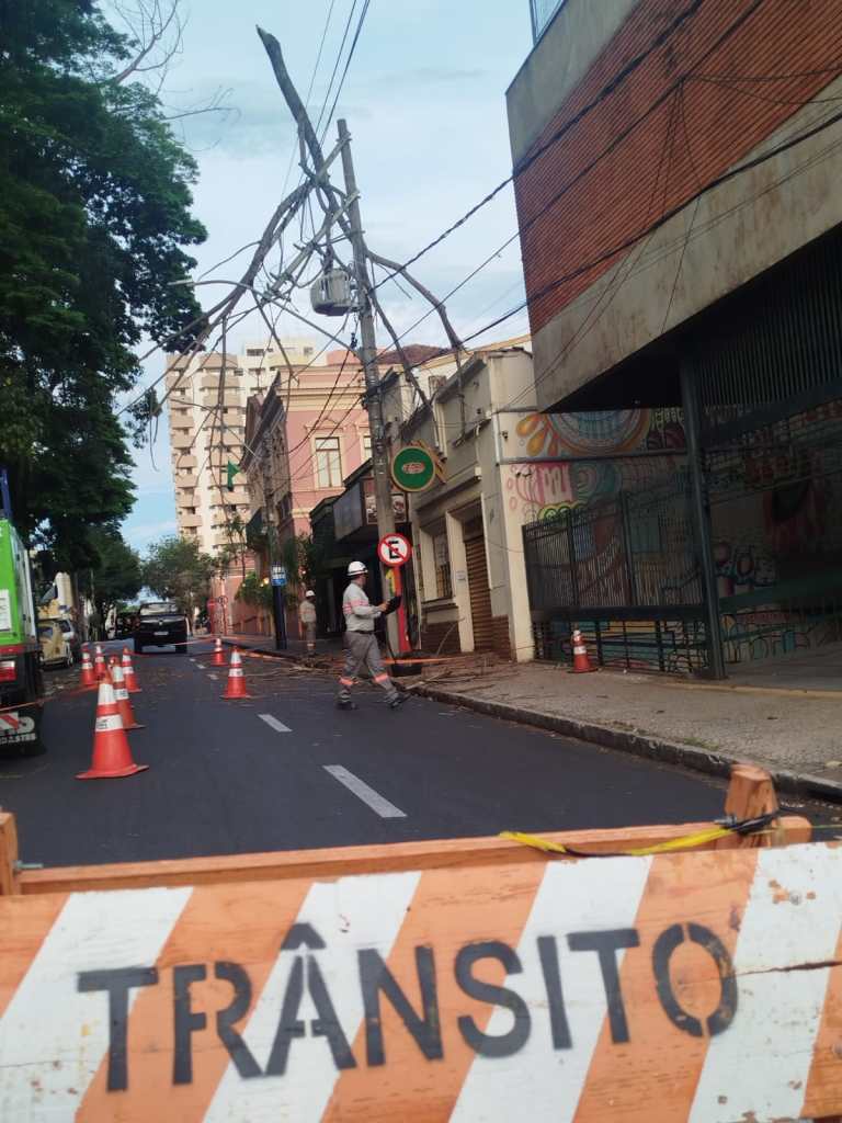 Galho em cima de fiação