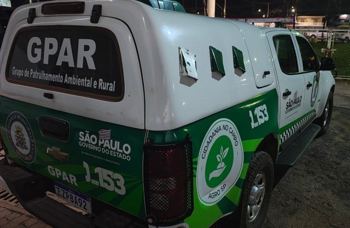 ff1d3a5b-097e-4ef2-9f48-24c858816705-1