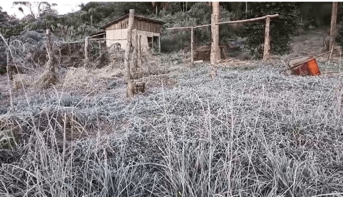 Geada e frio intenso Geada e frio intenso