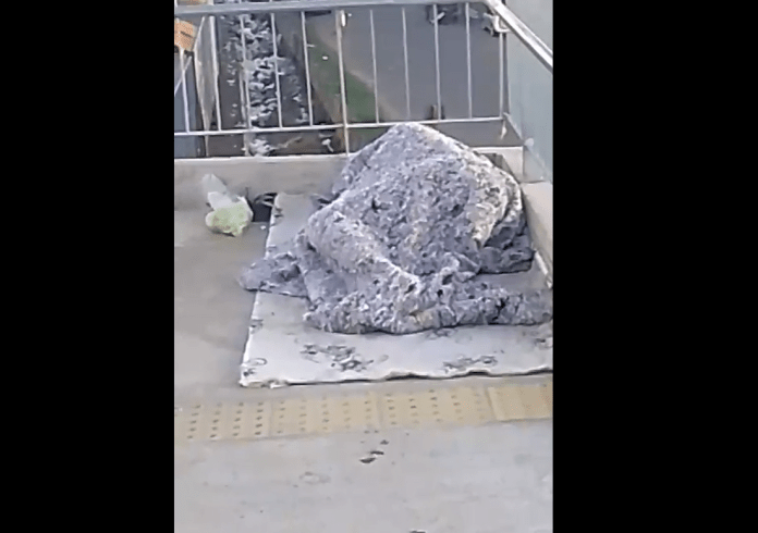 Captura de tela 2025-06-28 111133