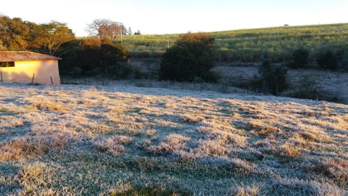 geada 29 3 Inverno com geada