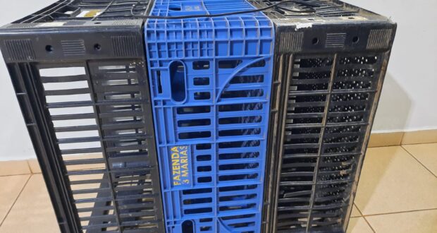 Jovem de 20 anos é detido por furto em supermercado na Vila Prado, em São Carlos Jovem de 20 anos é detido por furto em supermercado na Vila Prado, em São Carlos