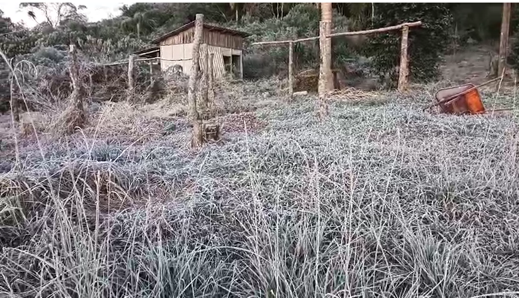 Geada pode chegar em São Carlos