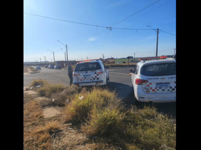 Operação no Jardim do Porto Operação no Jardim do Porto