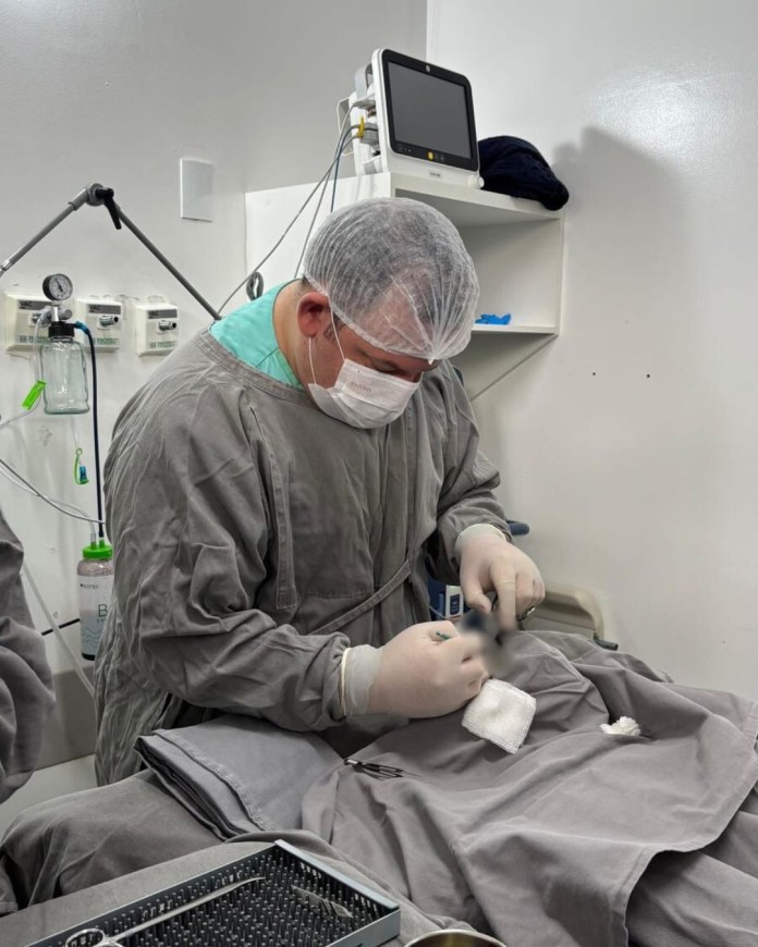 d9d4536d-ebc1-41aa-9a25-bbe403508450-1