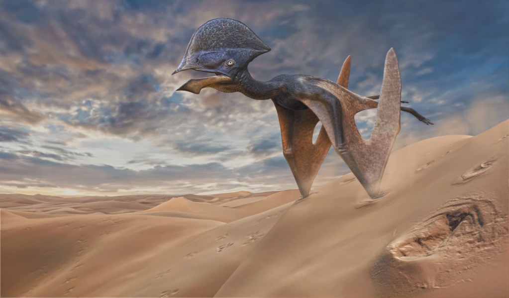 Reconstrução de pterossauro (Paleoarte de Hugo Cafasso)