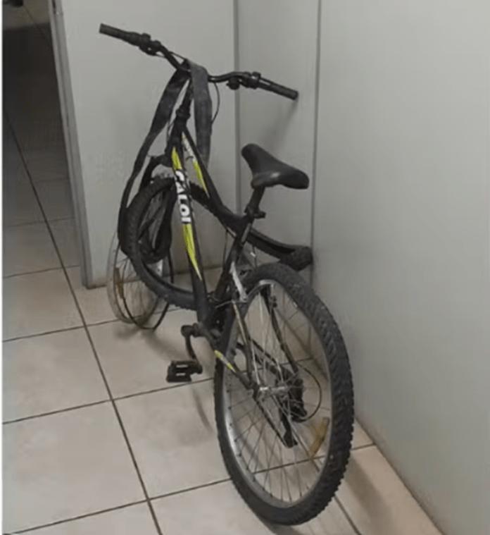 Captura de tela 2025-11-18 122500