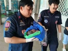 Bebê recém-nascida é resgatada com vida de dentro de descarga do vaso sanitário