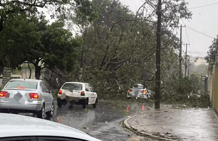 Captura de tela 2025-11-24 153158