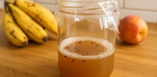 Saiba como eliminar mosquinhas de frutas com uma armadilha caseira eficiente