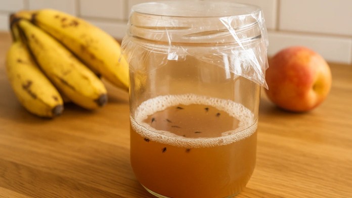 Saiba como eliminar mosquinhas de frutas com uma armadilha caseira eficiente Saiba como eliminar mosquinhas de frutas com uma armadilha caseira eficiente