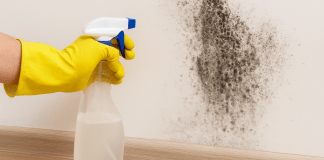 Saiba como evitar mofo na parede usando solução de apenas 3 ingredientes