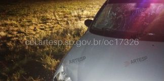 Pedestre morre atropelado na SP 255