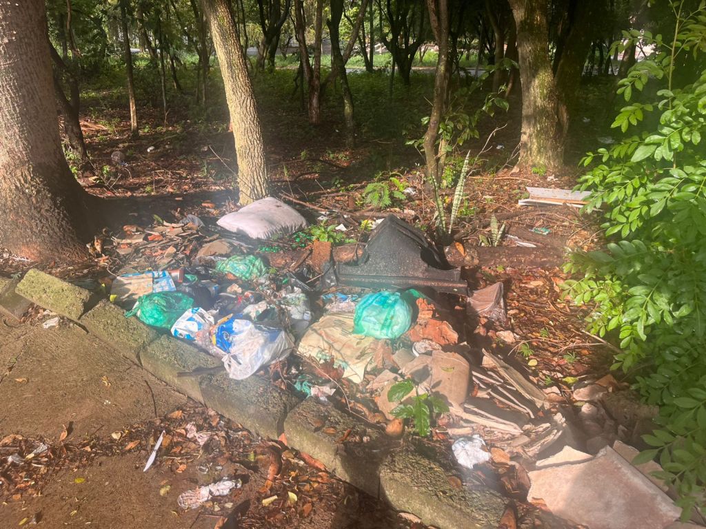 Bosque se transformou em depósito de lixo