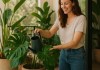 plantas tropicais para vasos no estilo tropical-chique