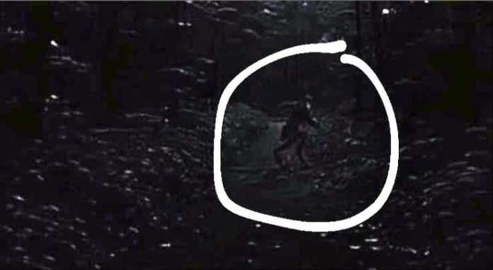 Câmera captou criatura estranha Câmera captou criatura estranha