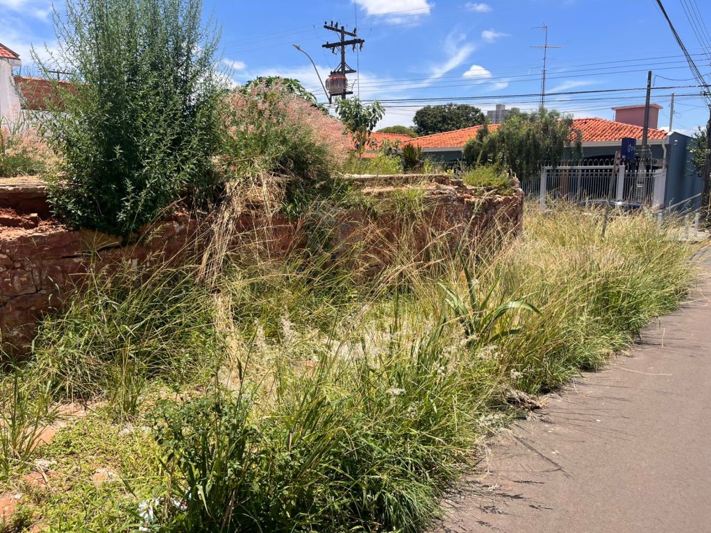 Terreno sujo na 13 de Maio