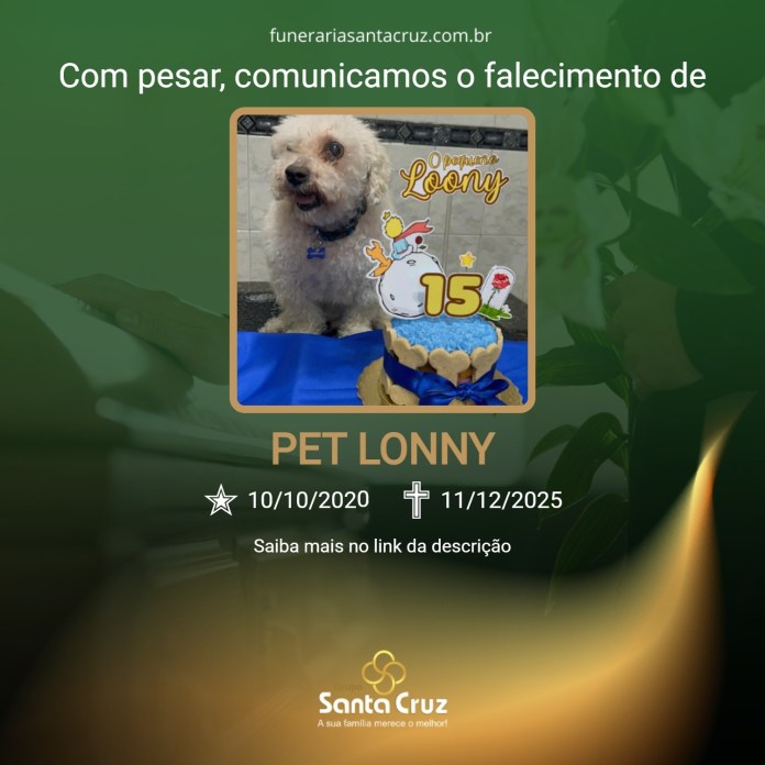 4bf55956-b382-4215-b274-1f86b66ce721 (1)