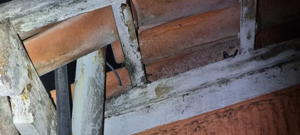 Casal detido por suspeita de furto