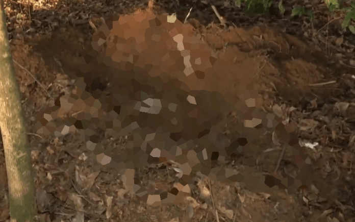 Captura de tela 2025-12-23 235703