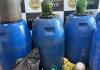 Polícia Civil apreende 750 litros de bebida alcoólica clandestina