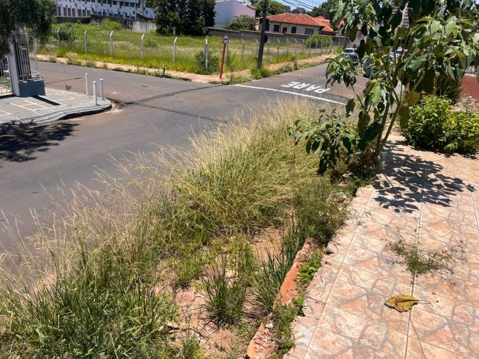 Terreno sujo na 13 de Maio Terreno sujo na 13 de Maio