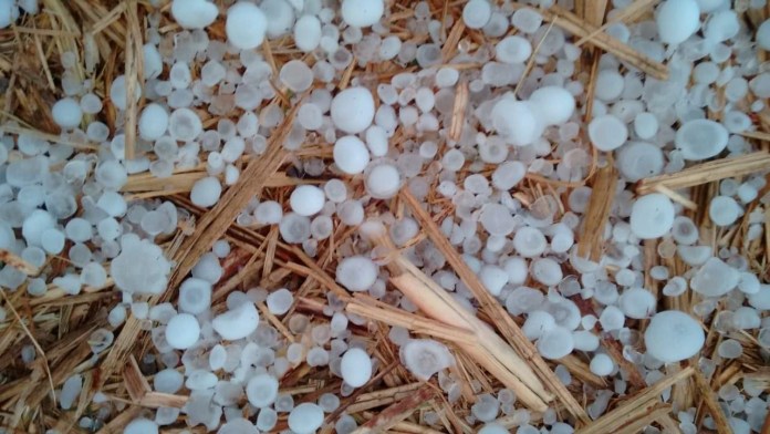 Alerta: Possibilidade de granizo para São Carlos