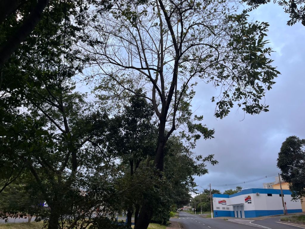 Ventania em São Carlos