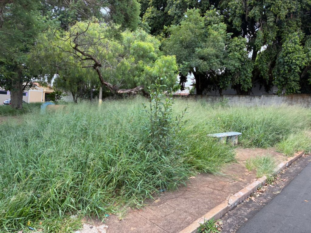 Moradores pedem limpeza de praça no Castelo Branco