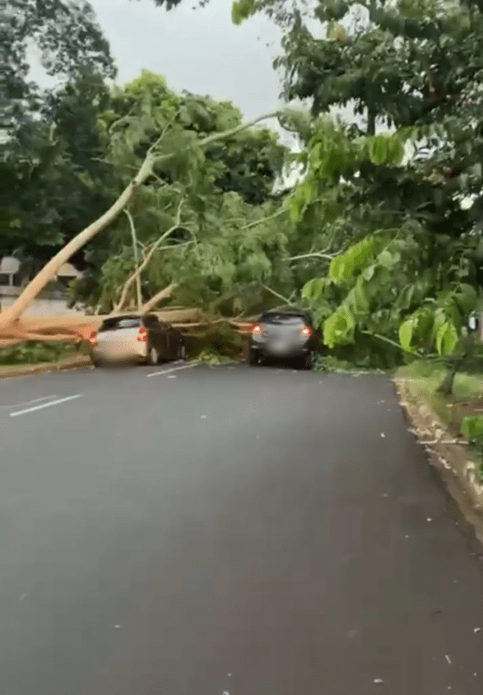 Captura de tela 2026-01-14 064635