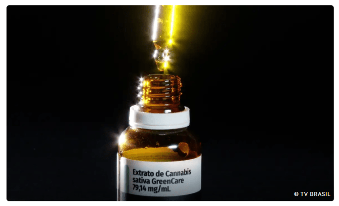 Anvisa aprova cultivo de cannabis por empresas e amplia acesso Anvisa aprova cultivo de cannabis por empresas e amplia acesso