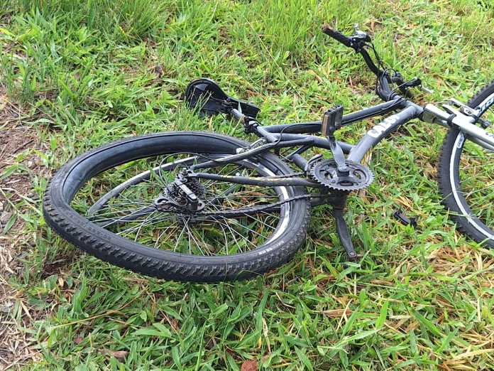 c785310f-86a7-4648-ac99-61d58fc73d3f