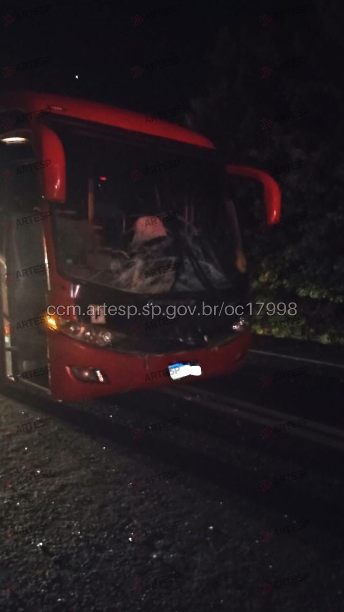 Búfalo invade rodovia e é atropelado por ônibus Búfalo invade rodovia e é atropelado por ônibus