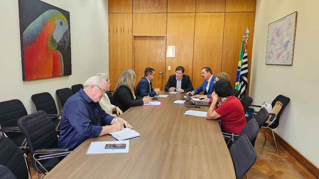 Demandas da Educação de São Carlos apresentada em SP