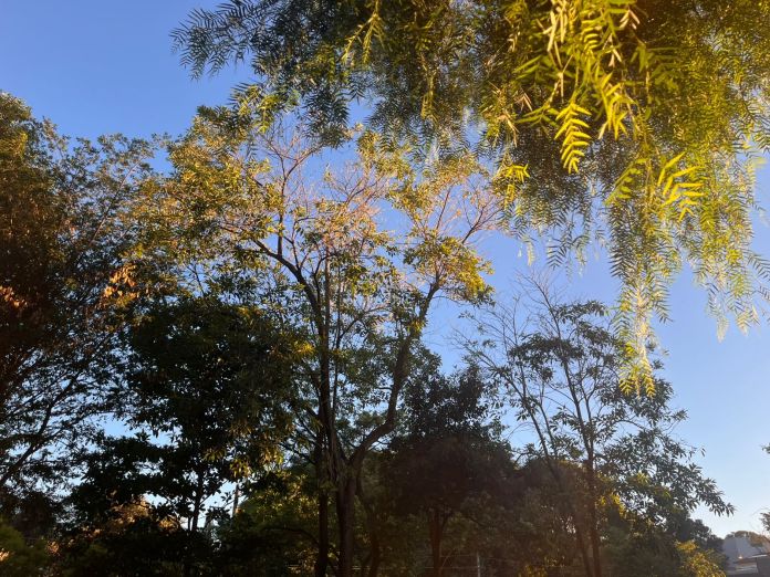 Calor deve marcar o fim de semana