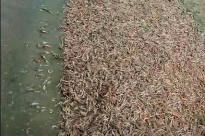 2e7cec177851c066e86247b811b92c18