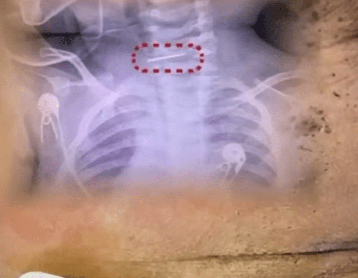 Captura de tela 2026-02-03 214846