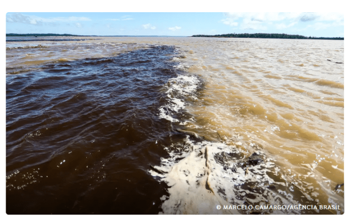 Captura de tela 2026-02-15 105443